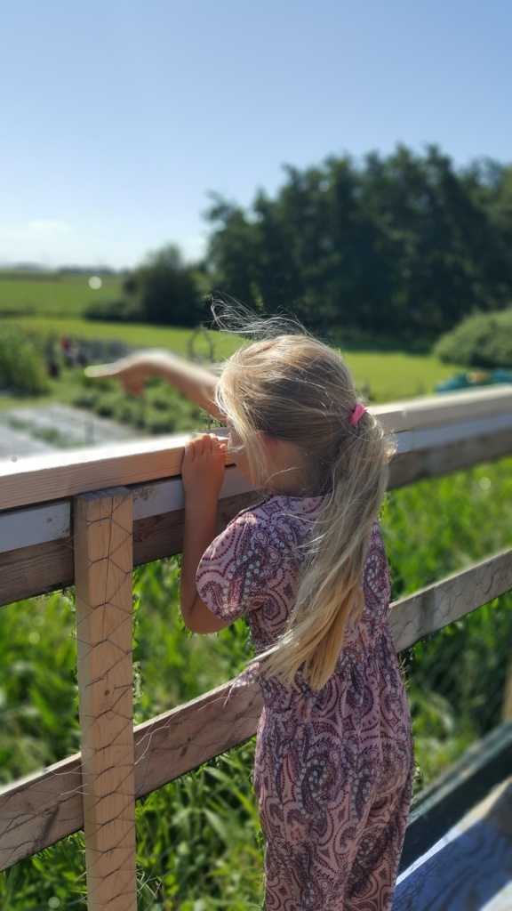 Hoogsensitief: van onbewust onbekwaam naar bewust bekwaam